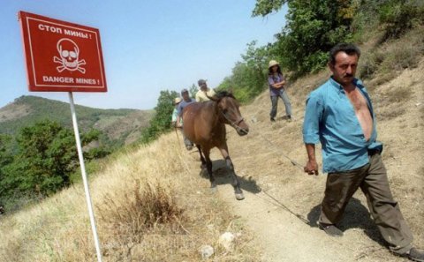 Bu erməni Azərbaycanın tərkibində “Qarabağın qubernatoru” olmağa razıdır...