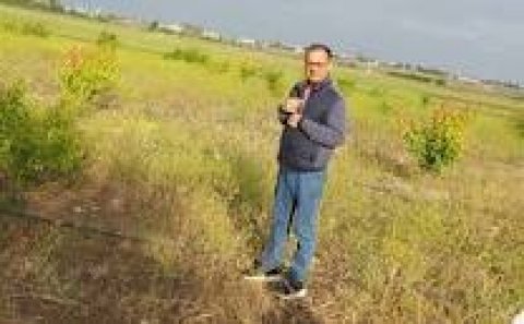 Rayonda su qiymətinə olan kartof Bakıda od qiymətinə: “O məmurlar bilmir ki...”