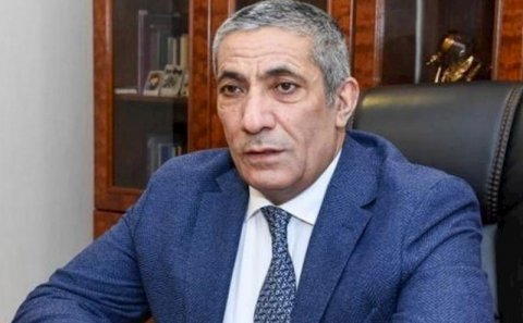 Siyavuş Novruzov: “Süni mayalanma ilə uşaq dünyaya gətirməzlər”