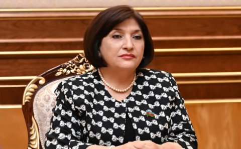 “Gedib kiminsə soyuducusunu, qazanını yoxlayırlar?” - Sahibə Qafarovadan SƏRT ÇIXIŞ