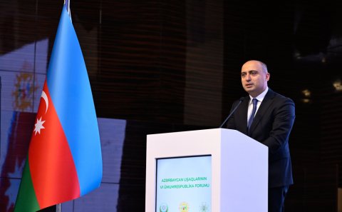Hər bir insan anlamalıdır ki, azyaşlı qızı ərə vermək olmaz - Emin Əmrullayev
