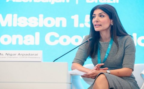 Diplomatik sahədə çalışan qadınların sayı artırılsın! - Deputat