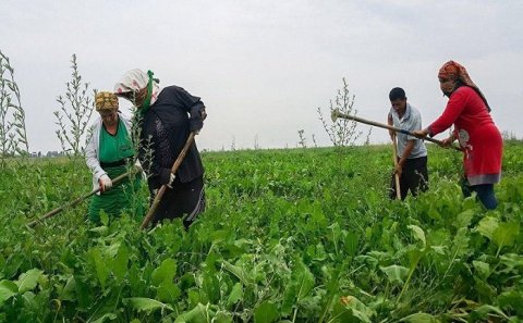 Kənddən şəhərə axını necə dayandırmalı... - Komitə sədrindən TƏKLİF