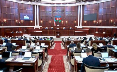 “Ən çox oğurluğu qadınlar edir” - Deputat