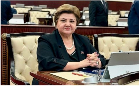 DEPUTAT VALİDEYNLƏRİN CƏRİMƏLƏNMƏSİNƏ ETİRAZ ETDİ-